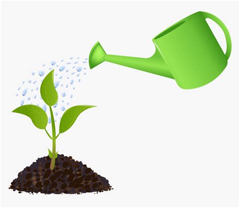 Garden Clipart Water Garden Watering A Plant Hd Png Download