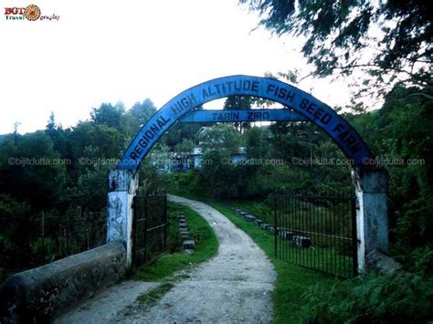 High Altitude Fish Seed Farm Tarin Ziro Bijits Organic Travel