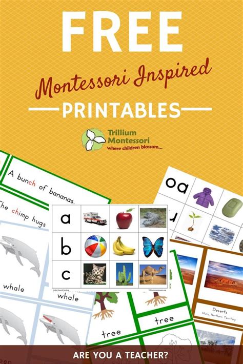 Montessori Printables