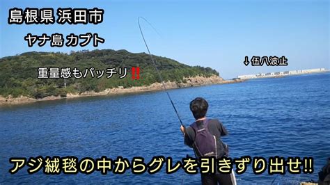 『フカセ釣り』エサ取りをかわしてグレを狙う‼️ 島根県 浜田市 ヤナ島 カブト 山陰釣り新報