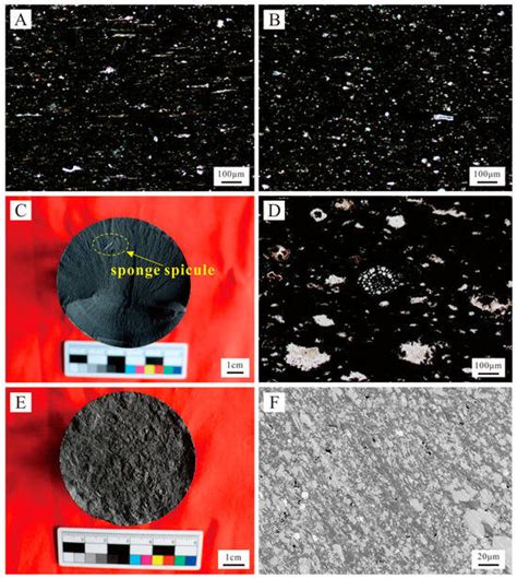 Minerals Free Full Text Pore Structure And Fractal Characteristics