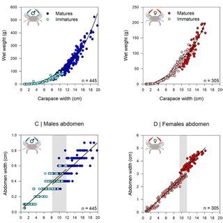 Relationship Between Carapace Width Cw And Wet Weight Ww For A