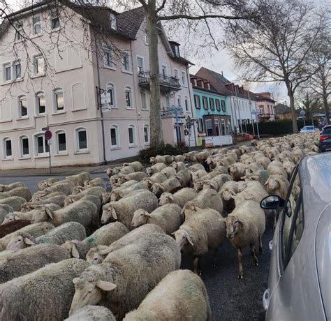 Fränkische Nachrichten - Home
