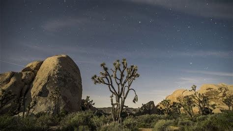 Moon Light In Joshua Tree National Park Youtube