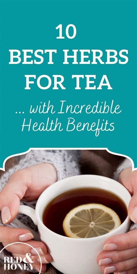 10 Best Herbs For Tea With Incredible Health Benefits