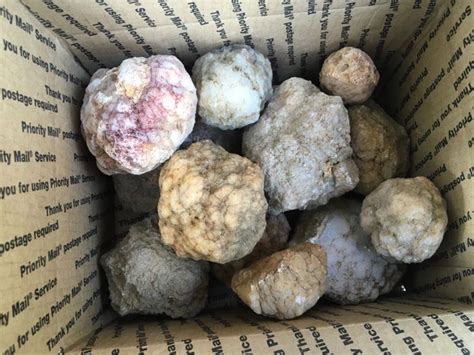 Geodes Unopened Inside A Mystery South Central Indiana 18 Lbs 9 19 A2 Rocks And Fossils