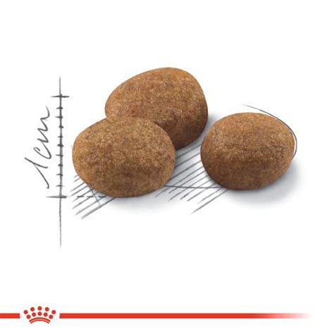 غذای خشک گربه مسن عقیم شده رویال کنین Royal Canin Regular Sterilised ...