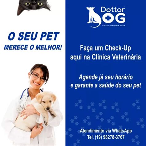 VocÊ Sabe Como Funciona Um Check Up VeterinÁrio Clínica Dottor Dog