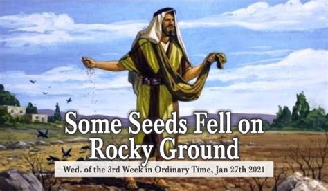 Some Seeds Fell On Rocky Ground Be Happy Live Positive