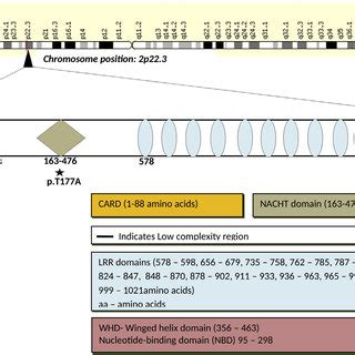 Gene structure of NLRP3 (NLR family pyrin domain containing 3)gene ...