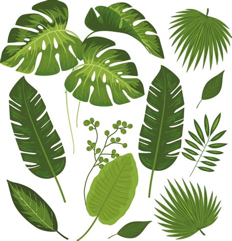 Variety Of Leaves Plant Decals Tenstickers