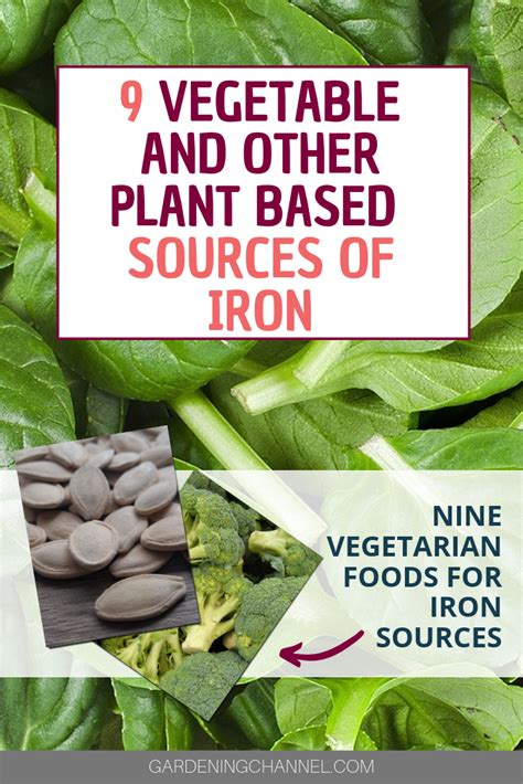 9 Vegetable And Plant Based Iron Sources You Should Be Eating