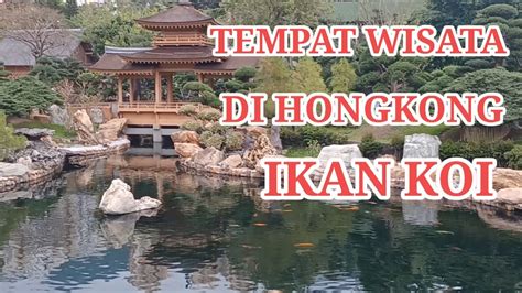 NAN LIAN GARDEN TEMPAT WISATA GRATIS DI HONGKONG IKAN KOI YouTube