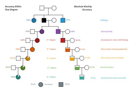 Degrees Of Kinship Chart EdrawMax Template