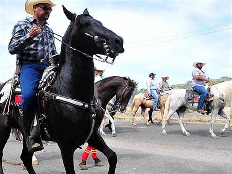 Diario Del Yaqui Cabalgatas Ya Son Patrimonio Cultural E Inmaterial