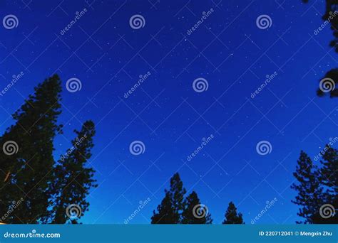 Sky stock image. Image of nature, forest, dark, night - 220712041