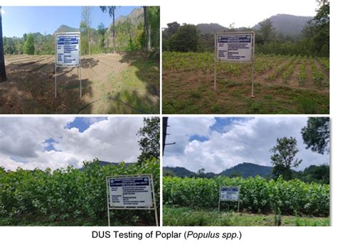 Dr Ys Parmar University Of Horticulture Forestry