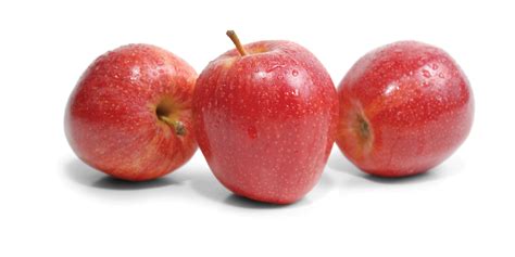 Apples — Gee Whiz Premium Fruit Grower