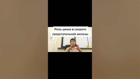 Роль цинка в секрете предстательной железы - YouTube