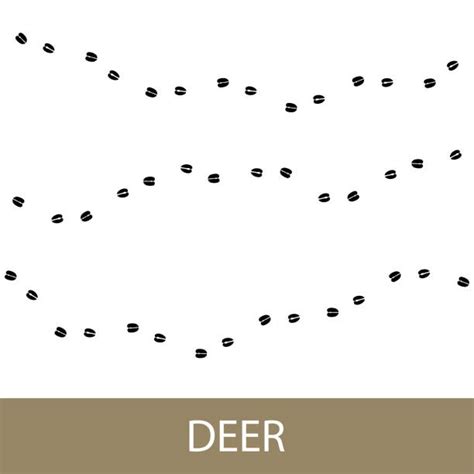 Deer Tracks Illustrations Royalty Free Vector Graphics And Clip Art Istock