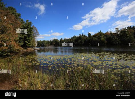 Murphys Point Provincial Park Hi Res Stock Photography And Images Alamy