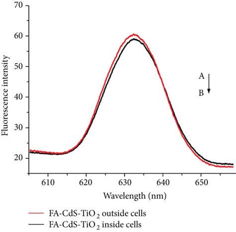 A The Fluorescence Emission Spectrum Of Cds Tio2 Nanocomposite Uptake Download Scientific