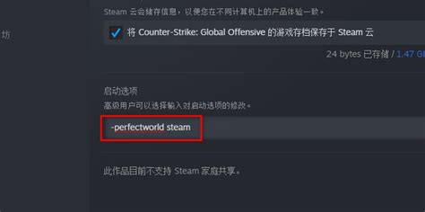 Csgo国服启动项如何设置 360新知