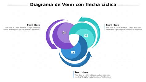 Los 25 Mejores Diagramas De Venn En PowerPoint Para Organizar