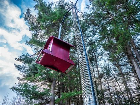 How To Attach A Slinky To Your Bird Feeder Pole Slinky Vs Squirrels