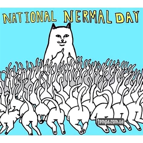 Кепка бейсболка Rip n Dip Nermal Fuck You кот показывает средний палец Tempa