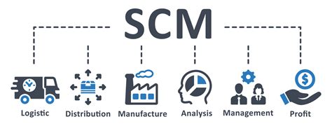 Scm Icon Vector Illustration Supply Chain Management Analysis Logistic Distribution