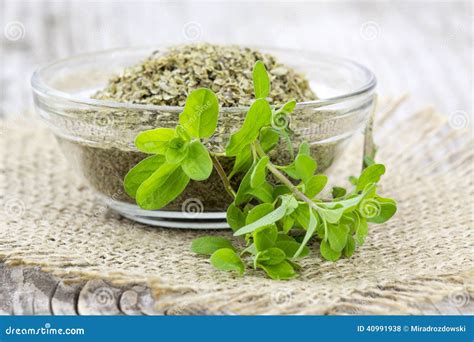 Fresh And Dried Marjoram Stock Photo Image Of Marjoram 40991938