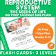 Human Reproduction Biology Health Syllabus Sub Plan Sex Ed NoPREP Flash Cards