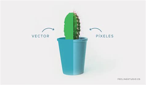 Aprende A Diferenciar Entre Un Vector Y Un P Xel Feeling Studio