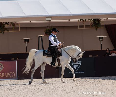 Indaiatuba Ser Palco Da Exposi O Nacional Do Cavalo Rabe