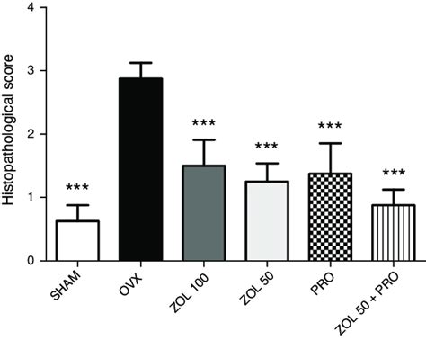 Effect Of Zoledronic Acid And Propranolol Alone Or In Combination On