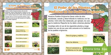 Guía Plantas Uso Medicinal de los Pueblos Originarios