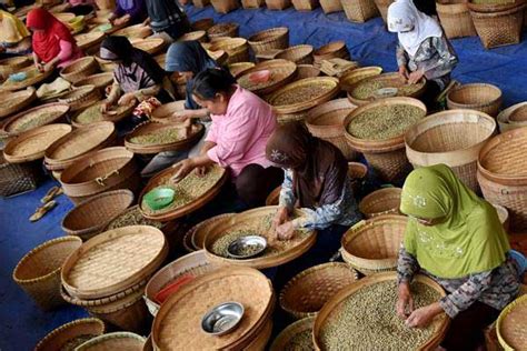 Kopi Pasuruan Ambil Hati Pasar Mancanegara