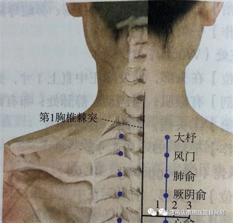 “阳了”有哪些穴位可调理？ 三阴交 穴位 大椎 肺俞 尺泽 鱼际 曲池 健康界