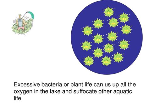 Ppt Nitrogen Cycle Powerpoint Presentation Free Download Id539643