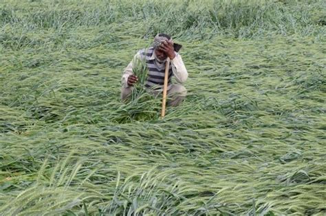 17 Farmers Commit Suicide Everyday In India It S Time For Politicians