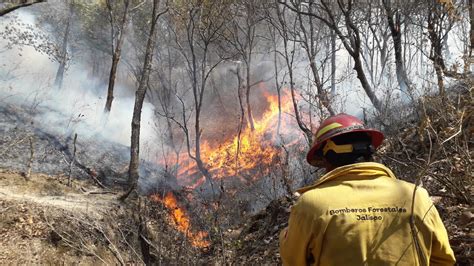 Incendios Forestales Provocan Alerta Atmosférica En Jalisco