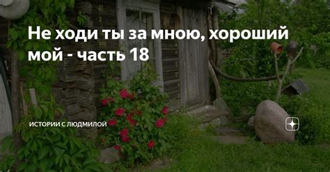 Не ходи ты за мною, хороший мой - часть 18 | Истории с Людмилой | Дзен