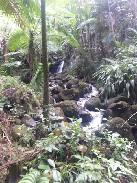 Waterfall in Tropical Botanical Gardens in Hilo, Hawaii. July 2014 ...