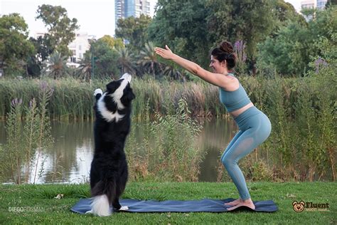 Doga 101: The why, what & 15 poses to kickstart your dog yoga ...