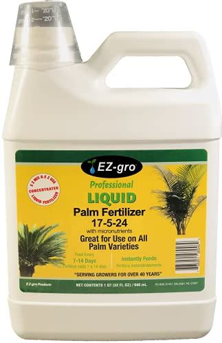 7 Best Queen Palm Tree Fertilizer 2022