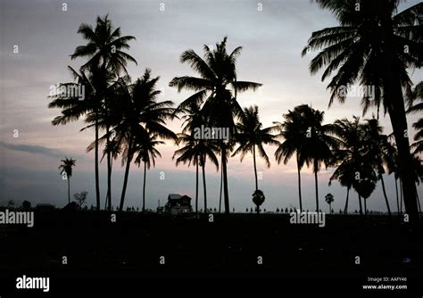 Images From The Aftermath Of The Boxing Day Tsunami In Sri Lanka On The