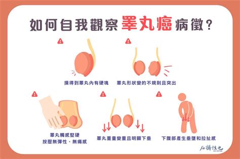 年輕男最容易得！睪丸癌無痛5大病徵 Waveguide Horn Input Udn部落格