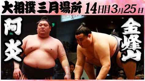 大相撲 阿炎ー金峰山＜令和5年三月場所・十四日目＞sumo Youtube