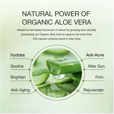 Benefits of Aloe Vera